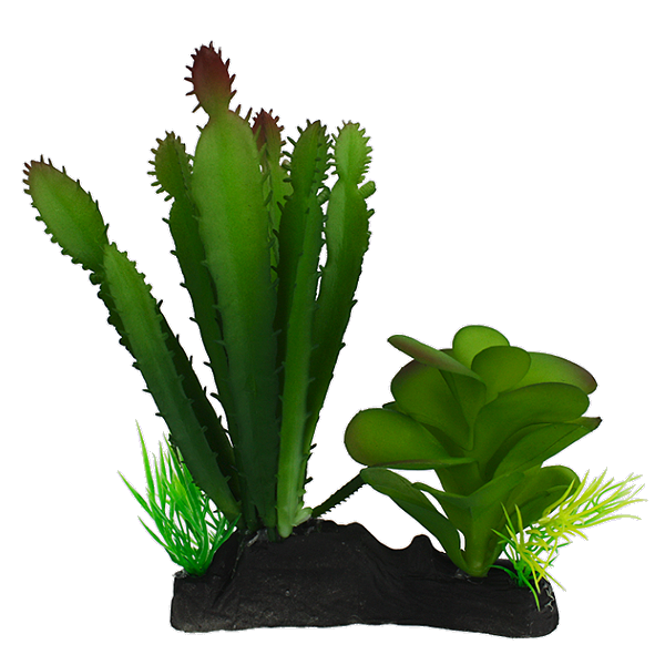 Desert Cactus & Succulent Reptile Terrarium Decoration Green