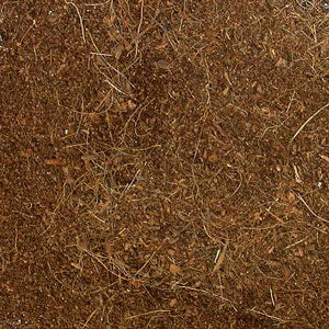 Eco Earth Loose Coconut Fiber Reptile & Amphibian Substrate