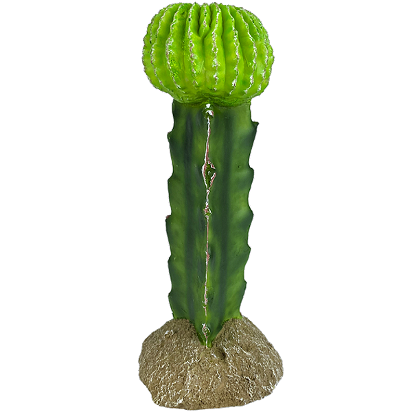 Desert Moon Cactus Resin Reptile Terrarium Decoration