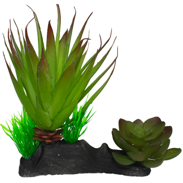 Desert Succulent Reptile Terrarium Decoration Green
