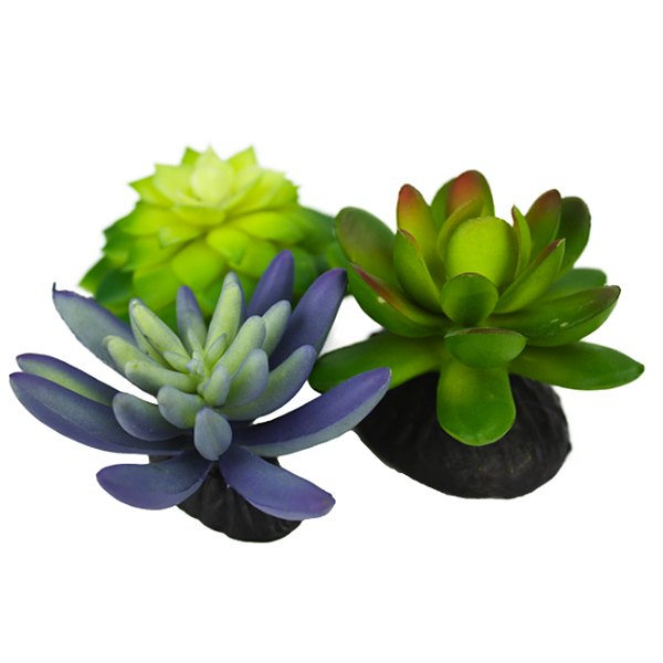 Desert Succulents Reptile Terrarium Decoration Blue & Green