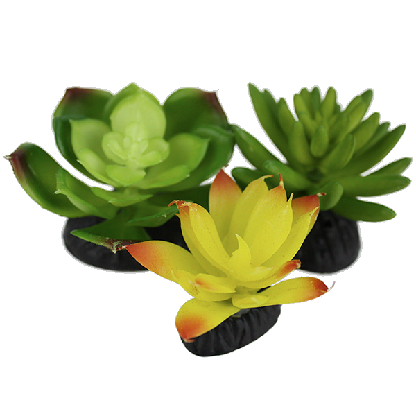 Desert Succulents Reptile Terrarium Decoration Yellow & Green