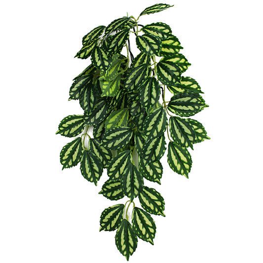 Climbing Plant Two Tone Leaf Realistic Hanging Reptile Terrarium Decoration
