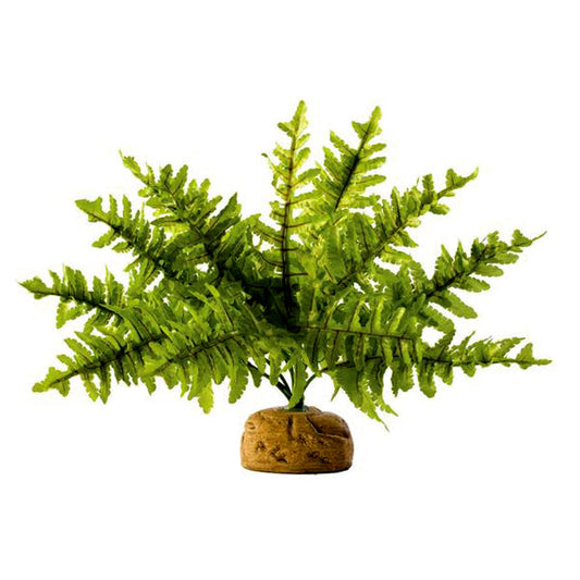 Boston Fern Silk & Plastic Realistic Artifical Plant Reptile Habitat Decor
