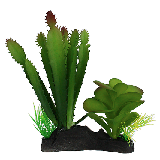 Desert Cactus & Succulent Reptile Terrarium Decoration Green