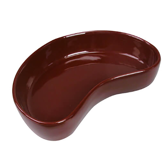 Ceramic Terrarium Reptile Dish