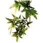 Croton Plastic Realistic Artificial Plant Reptile Hanging Habitat Decor