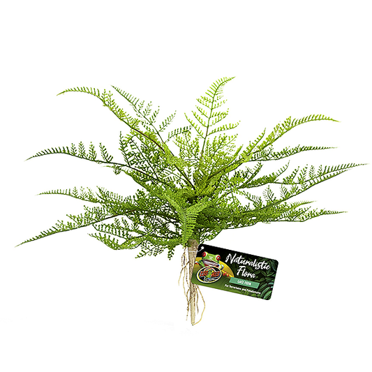 Lace Fern Naturalistic Flora Decor for Reptile Terrariums
