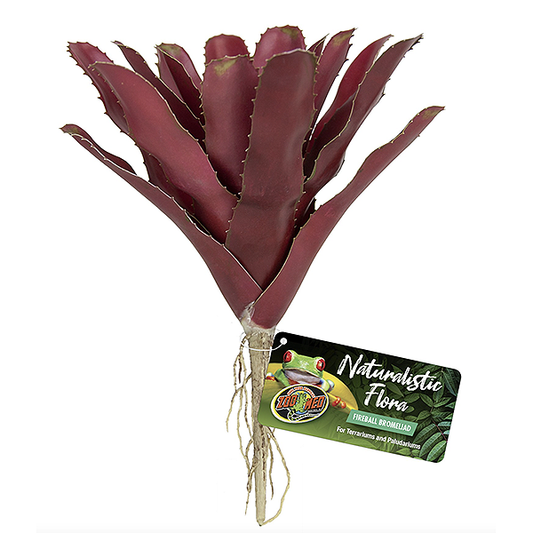 Fireball Bromeliad Naturalistic Flora Decor for Reptile Terrariums