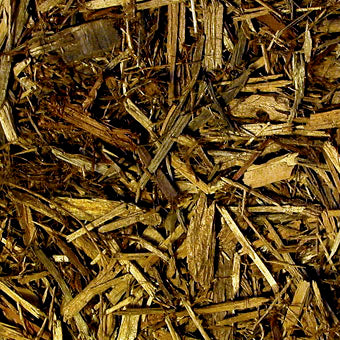 Forest Floor Bedding Natural Cypress Mulch Reptile & Amphibian Substrate