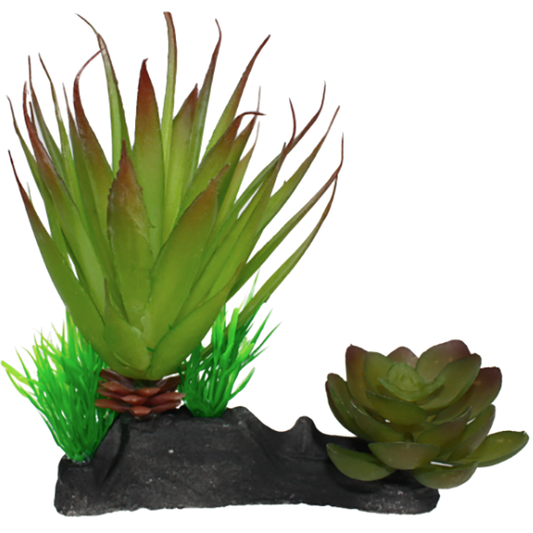 Desert Succulent Reptile Terrarium Decoration Green