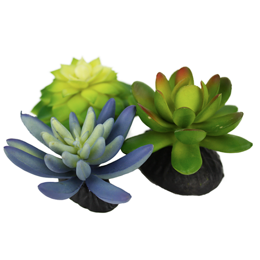 Desert Succulents Reptile Terrarium Decoration Blue & Green