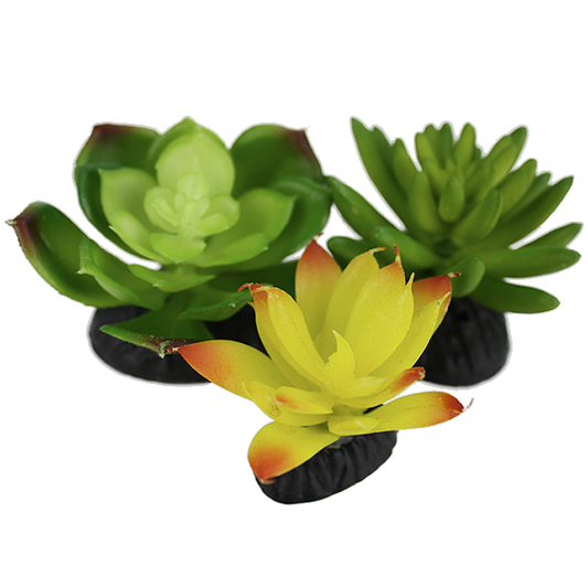 Desert Succulents Reptile Terrarium Decoration Yellow & Green