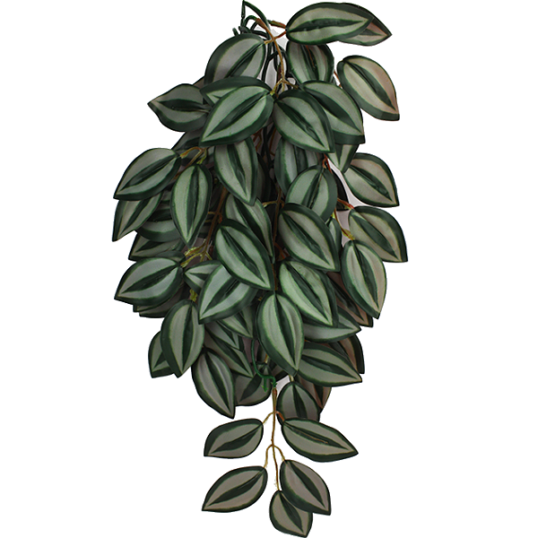 Climbing Plant Zebrina Realistic Hanging Reptile Terrarium Decoration
