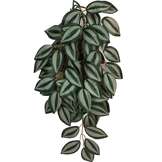 Climbing Plant Zebrina Realistic Hanging Reptile Terrarium Decoration
